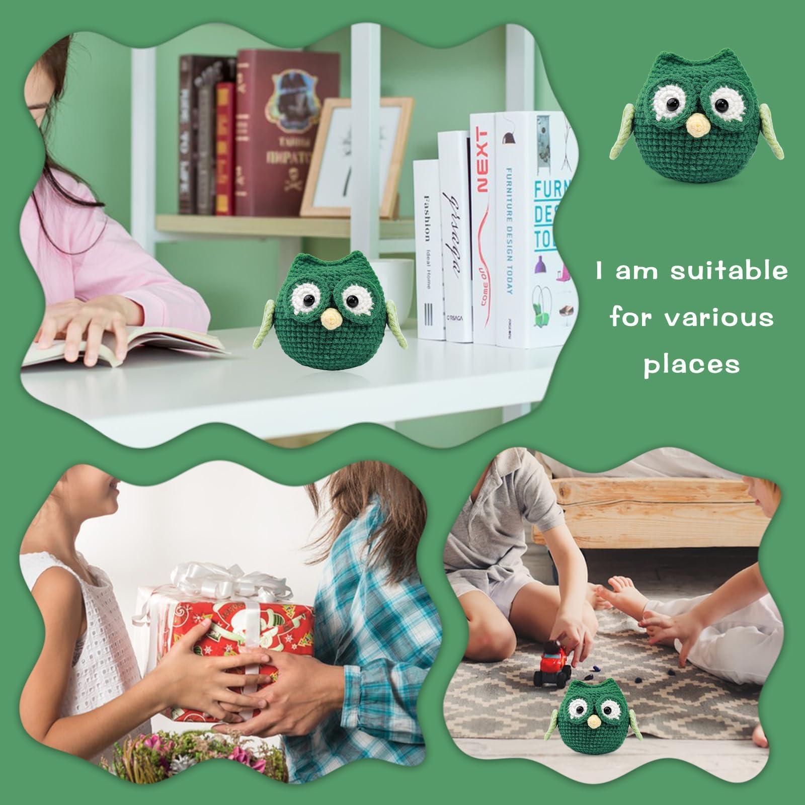 Green Owl Crochet Kit - lokunn.com