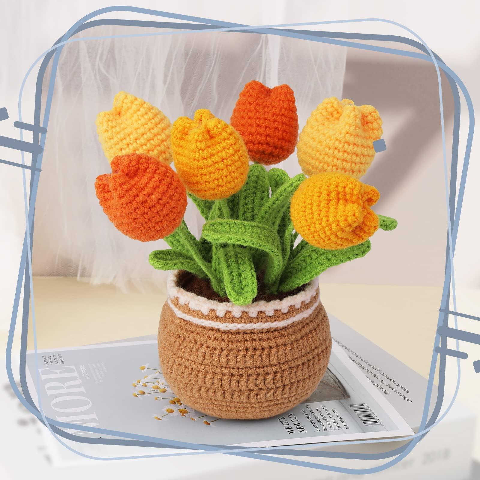Ideashop Crochet Kit for Beginners, Tulip Potted Plants Crochet Kit,  Crochet Starter Kit for Adults and Kids, Learn to Crochet Kits with  Step-by-Step